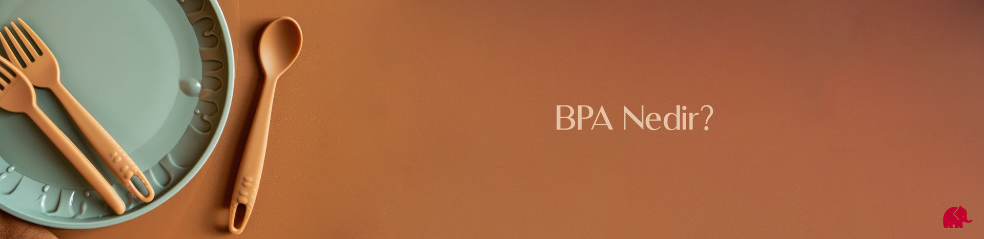 BPA Nedir?