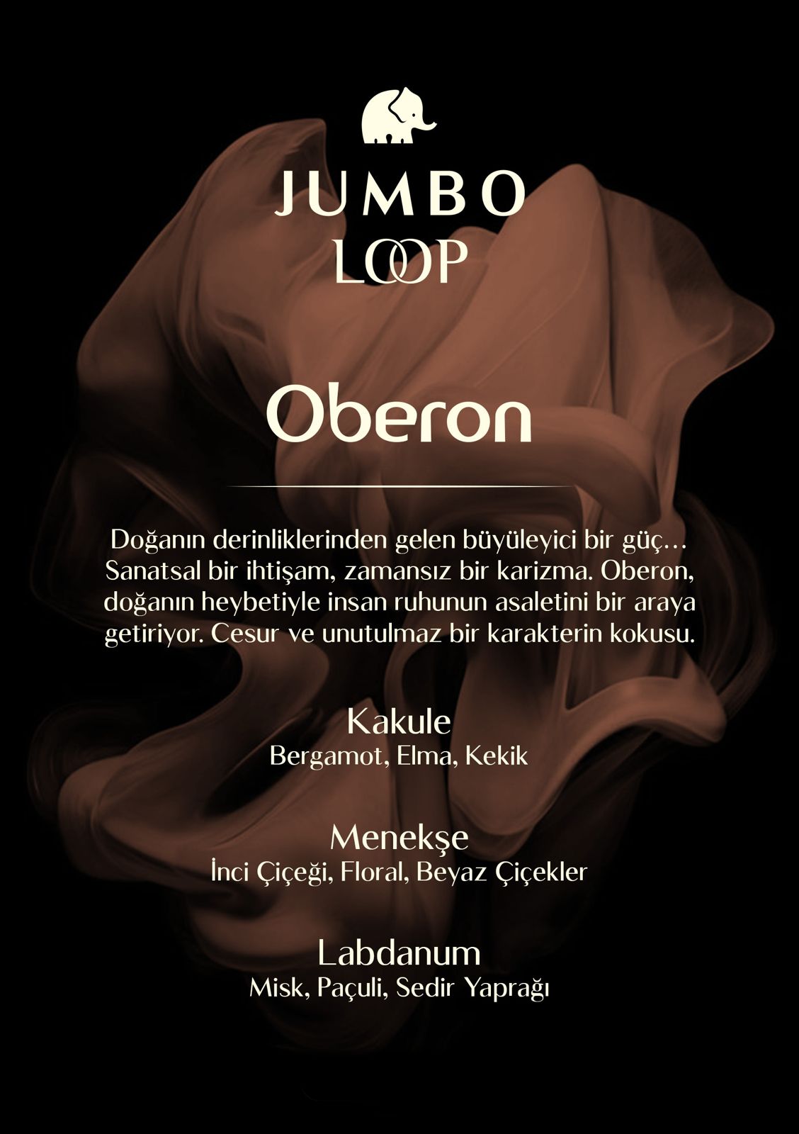 Jumbo Loop Oberon Çubuklu Oda Kokusu, Mat Kahve Şişe
