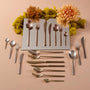 Jumbo 2900 Vannes Mocha Mousse 42 Parça 6 Kişilik Yemek Çatal Kaşık Bıçak Takımı