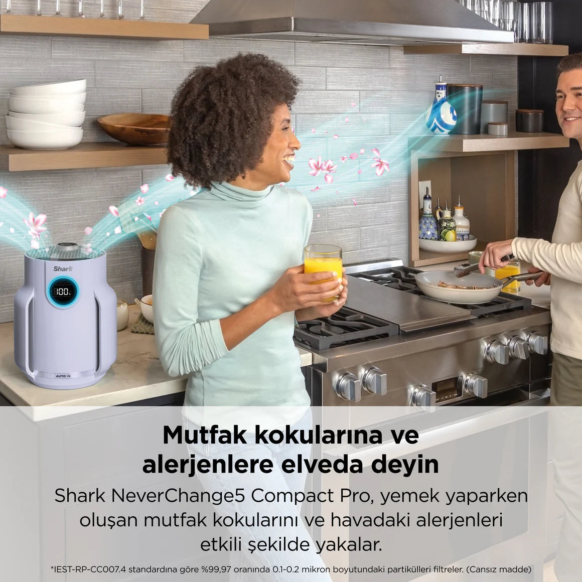 Shark NeverChange5 Compact Pro Hava Temizleyici  Lavanta -HP072EUPL