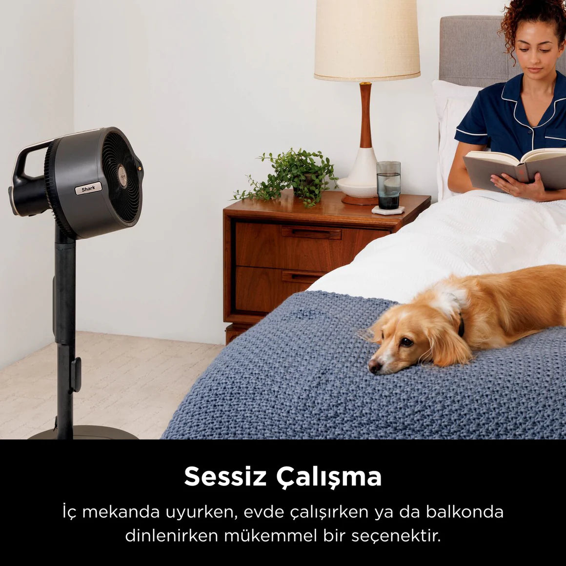 Shark FlexBreeze ProMist Taşınabilir Buharlı Fan – İç ve Dış Mekan Uyumlu, Siyah