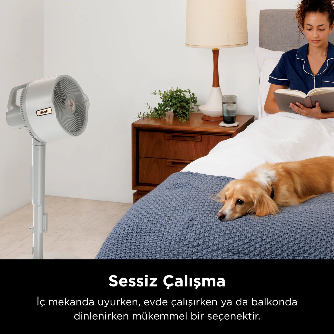 Shark FlexBreeze ProMist Taşınabilir Buharlı Fan – İç ve Dış Mekan Uyumlu, Beyaz