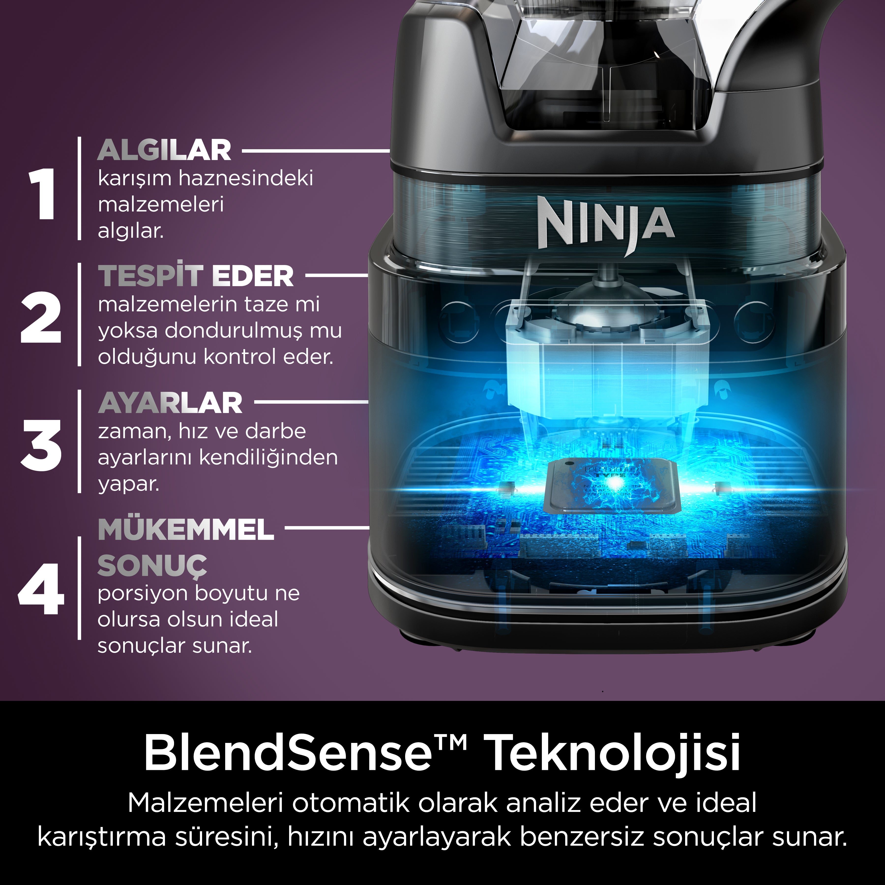 Ninja Detect™ Duo® Power Blender Smoothie Maker + BlendSense™